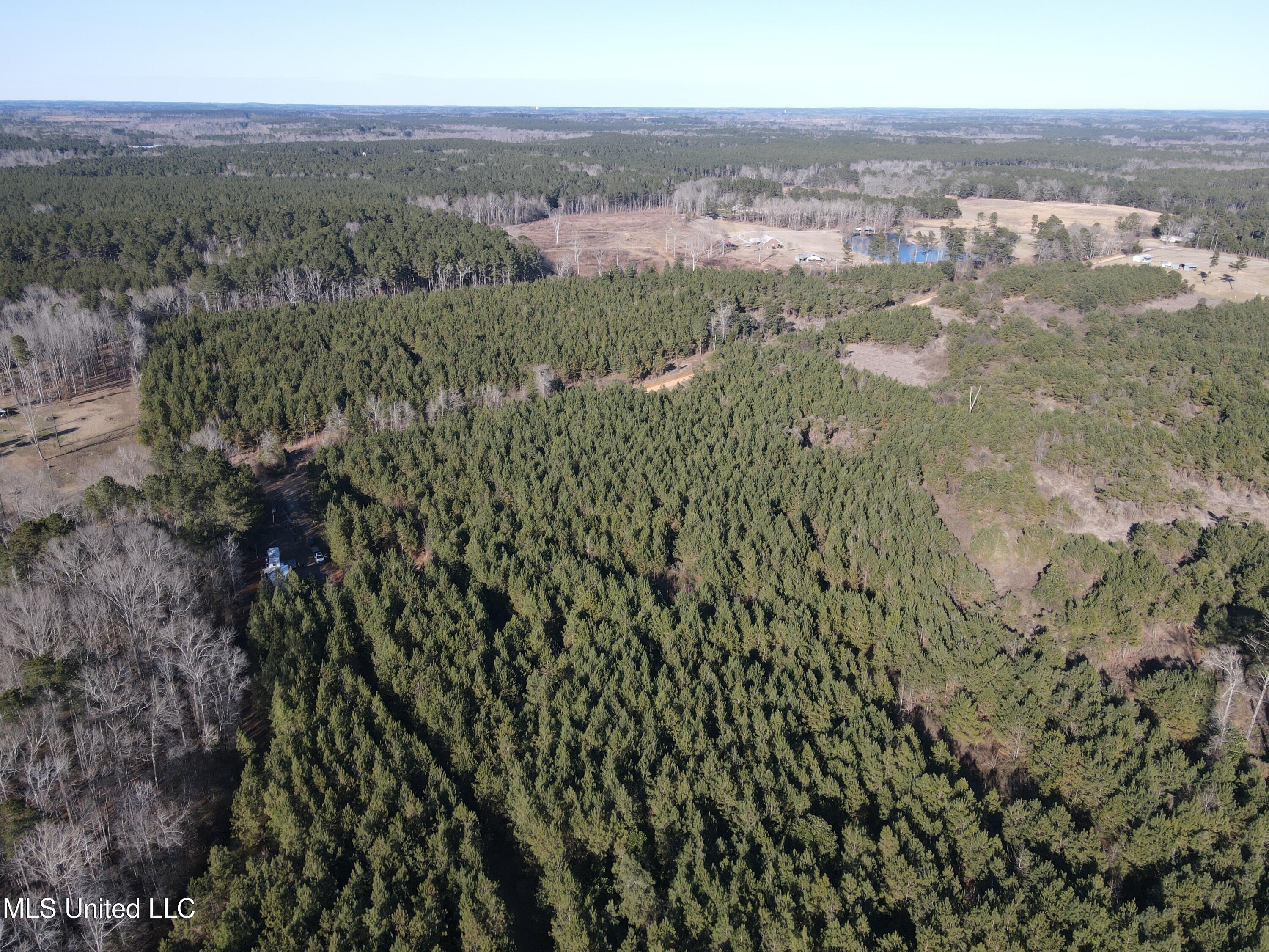 307 Willis Road Decatur, MS 39327 - Photo 24 of 41 24