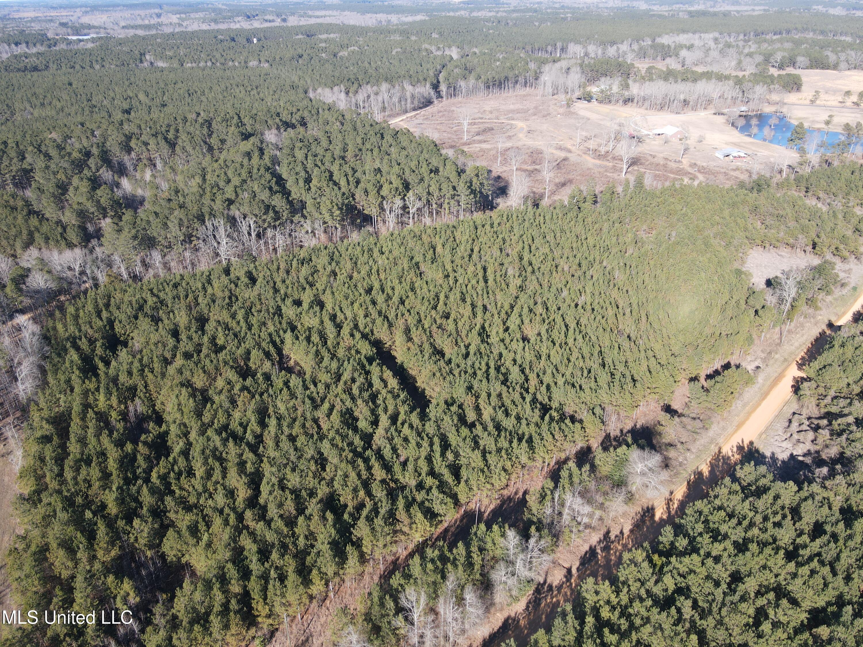 307 Willis Road Decatur, MS 39327 - Photo 26 of 41 26