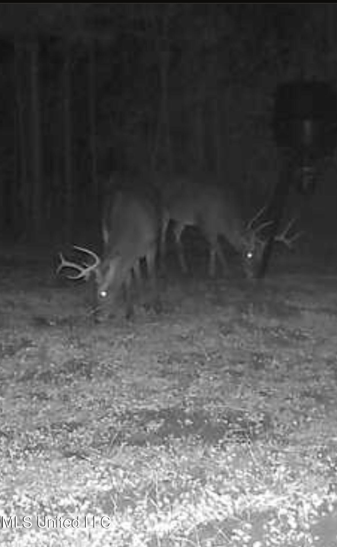 307 Willis Road Decatur, MS 39327 - Photo 27 of 41 Photo Dec 10 2025, 6 37 01 AM