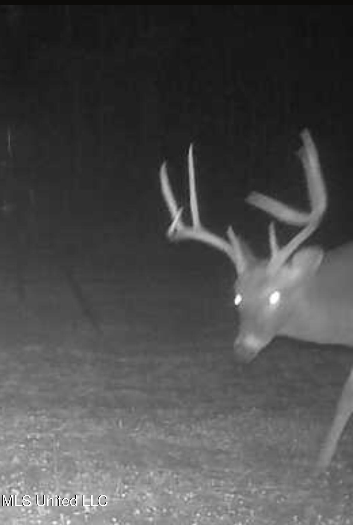 307 Willis Road Decatur, MS 39327 - Photo 28 of 41 Photo Dec 10 2025, 6 37 29 AM