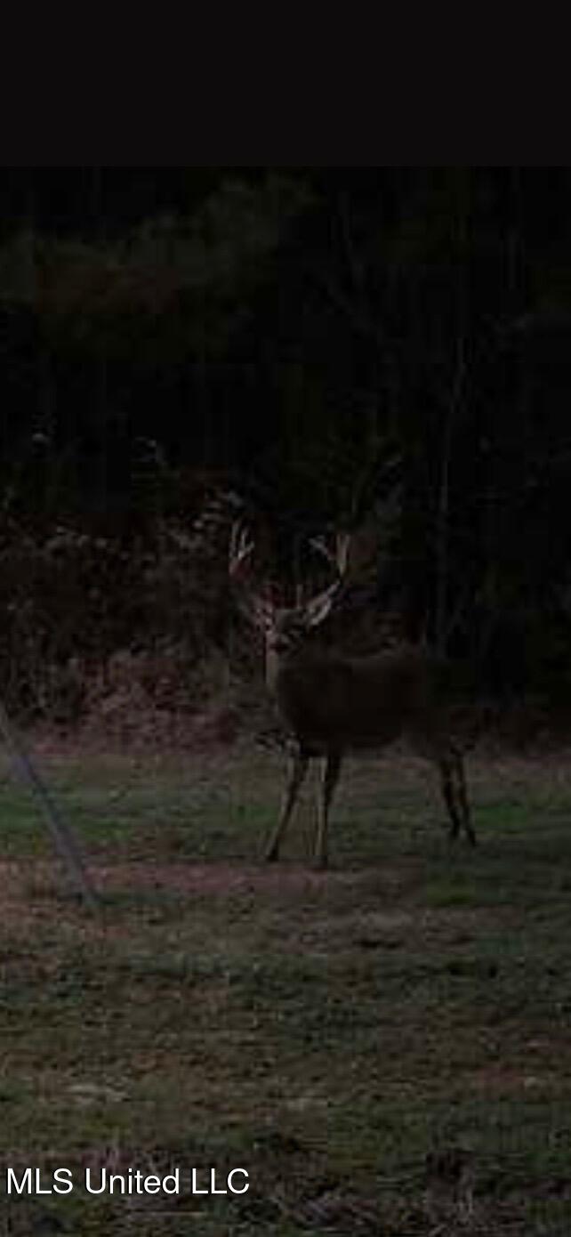 307 Willis Road Decatur, MS 39327 - Photo 29 of 41 Photo Dec 27 2025, 10 52 42 PM