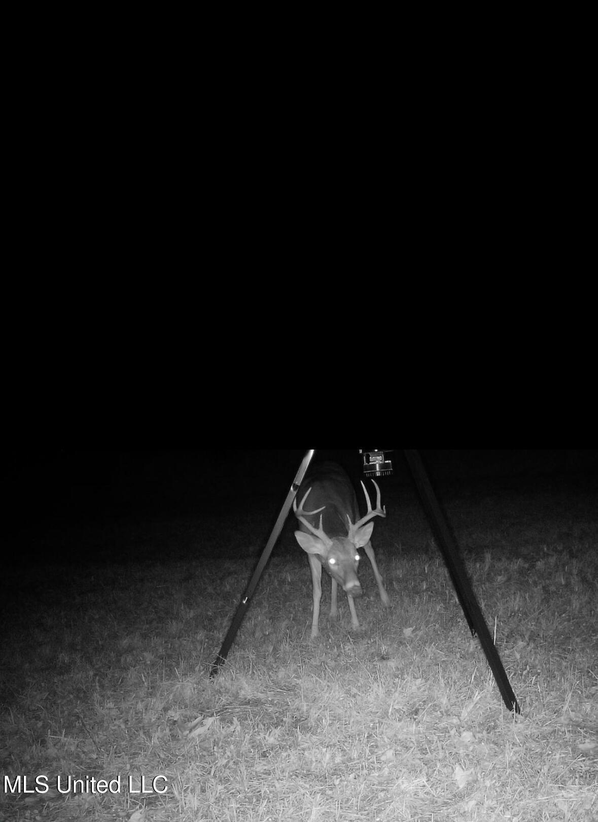 307 Willis Road Decatur, MS 39327 - Photo 30 of 41 Photo Feb 02 2026, 5 54 18 PM