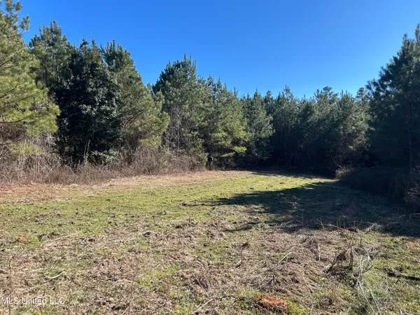 $477,000 | 307 Willis Road, Decatur, MS 39327