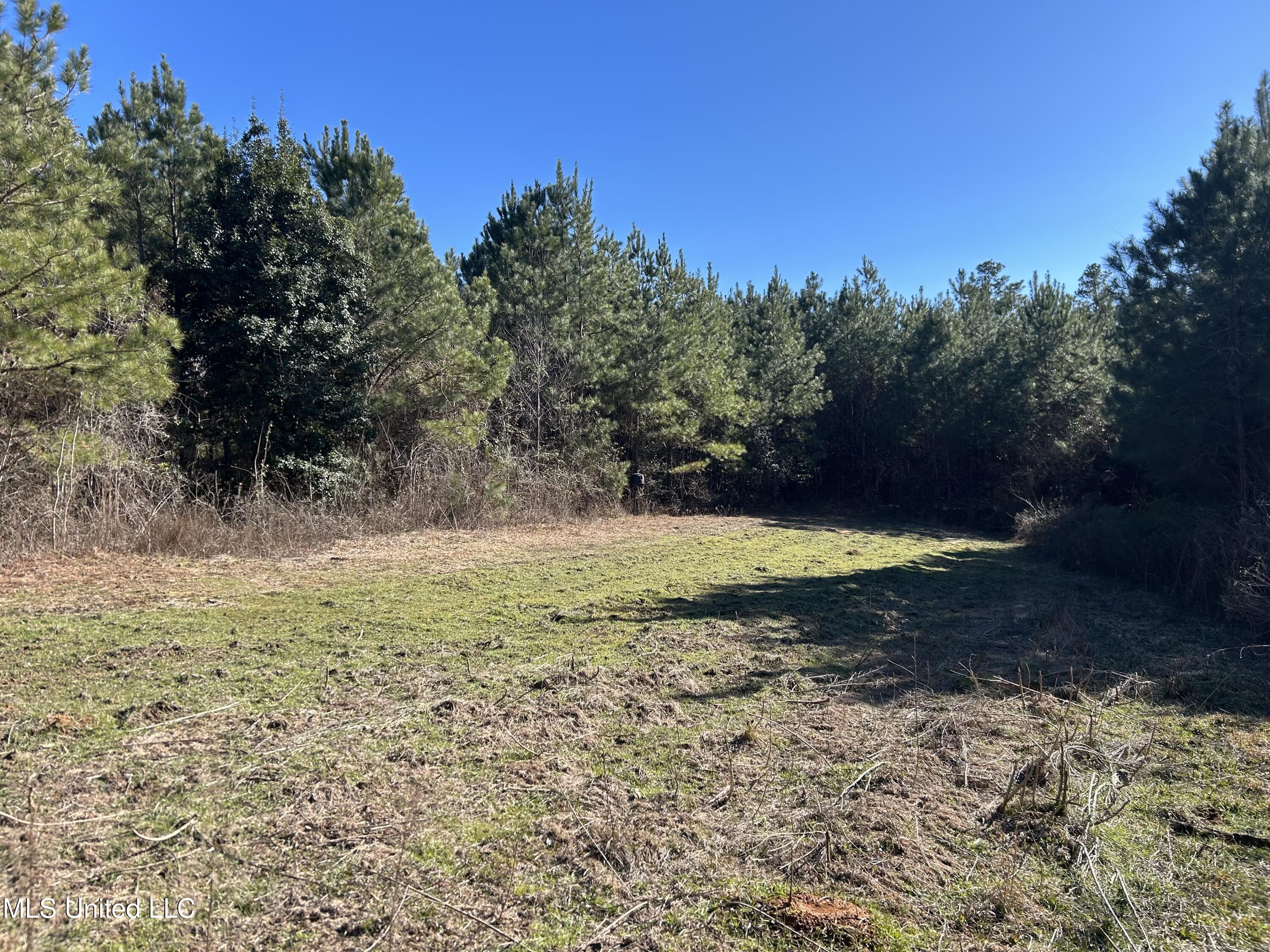 307 Willis Road Decatur, MS 39327 - Photo 3 of 41 3