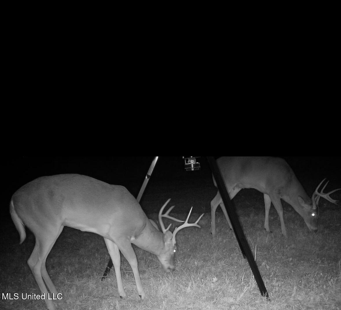 307 Willis Road Decatur, MS 39327 - Photo 31 of 41 Photo Feb 02 2026, 5 54 53 PM