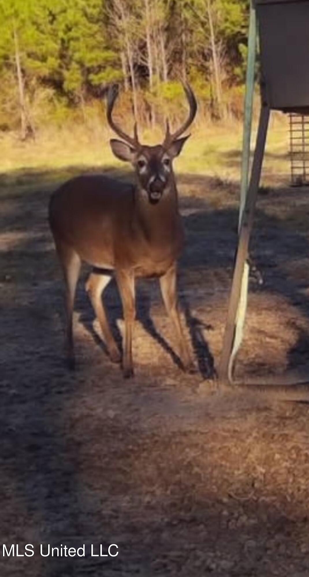 307 Willis Road Decatur, MS 39327 - Photo 32 of 41 Photo Feb 02 2026, 5 57 13 PM