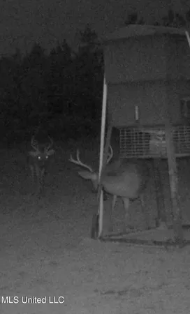 $477,000 | 307 Willis Road, Decatur, MS 39327