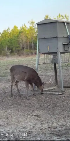 $477,000 | 307 Willis Road, Decatur, MS 39327