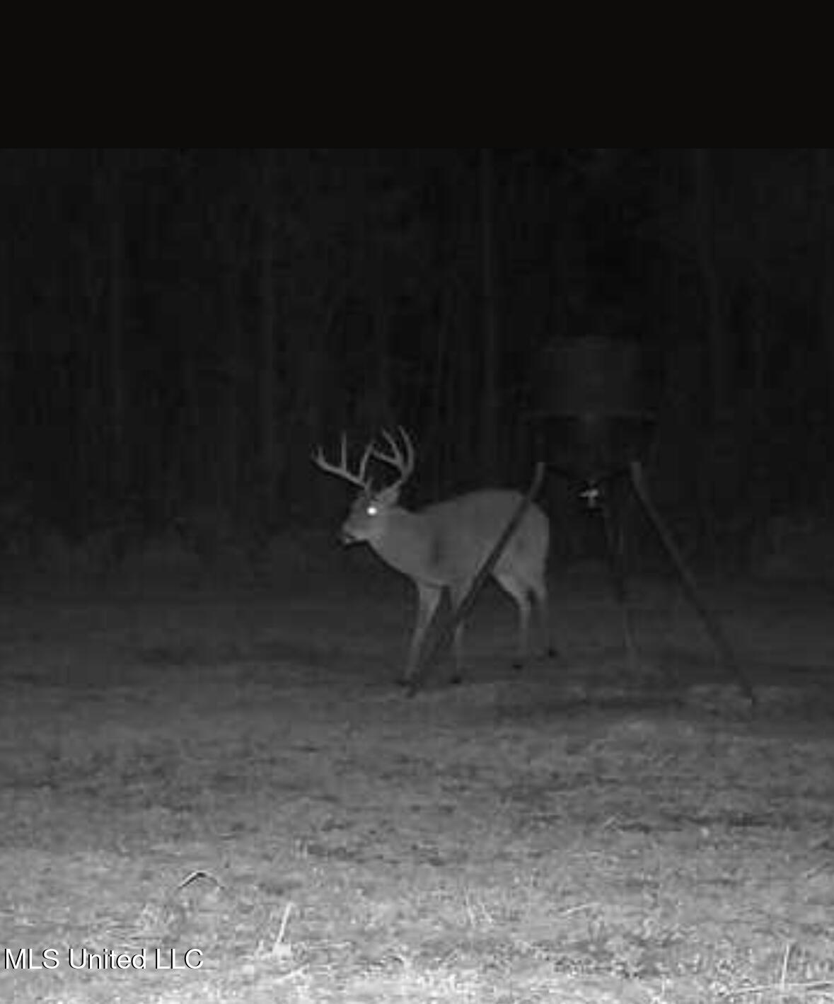 307 Willis Road Decatur, MS 39327 - Photo 36 of 41 Photo Jan 26 2026, 9 40 10 PM