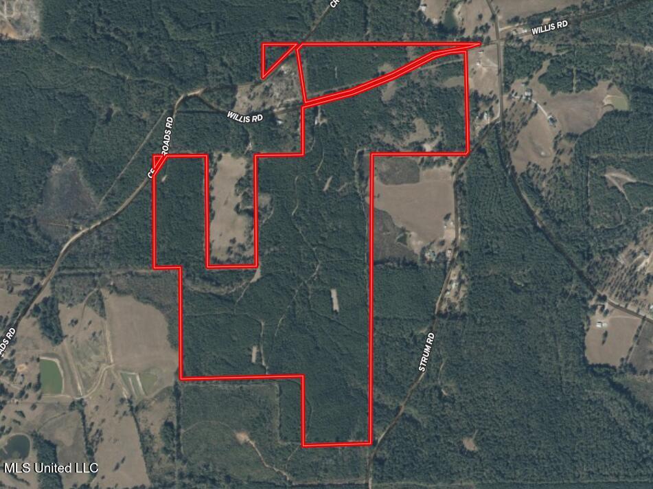 307 Willis Road Decatur, MS 39327 - Photo 37 of 41 aerial