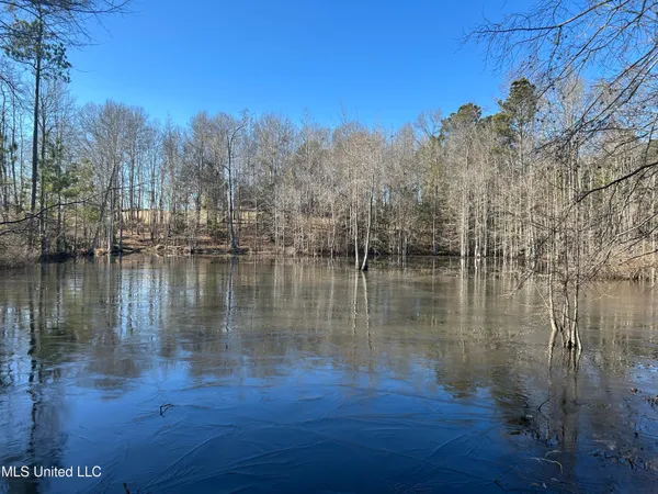 $477,000 | 307 Willis Road, Decatur, MS 39327