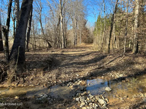 $477,000 | 307 Willis Road, Decatur, MS 39327