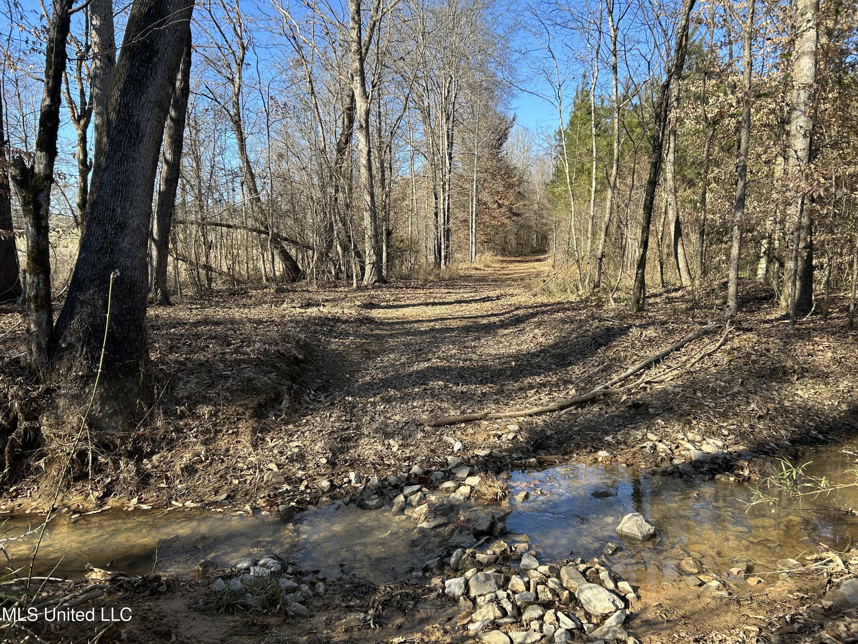 307 Willis Road Decatur, MS 39327 - Photo 5 of 41 5