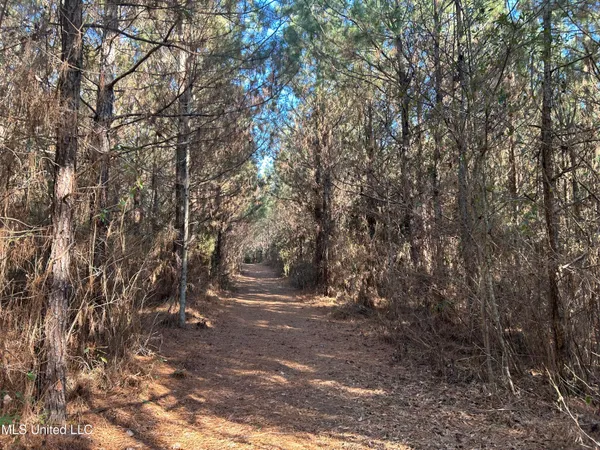 $477,000 | 307 Willis Road, Decatur, MS 39327
