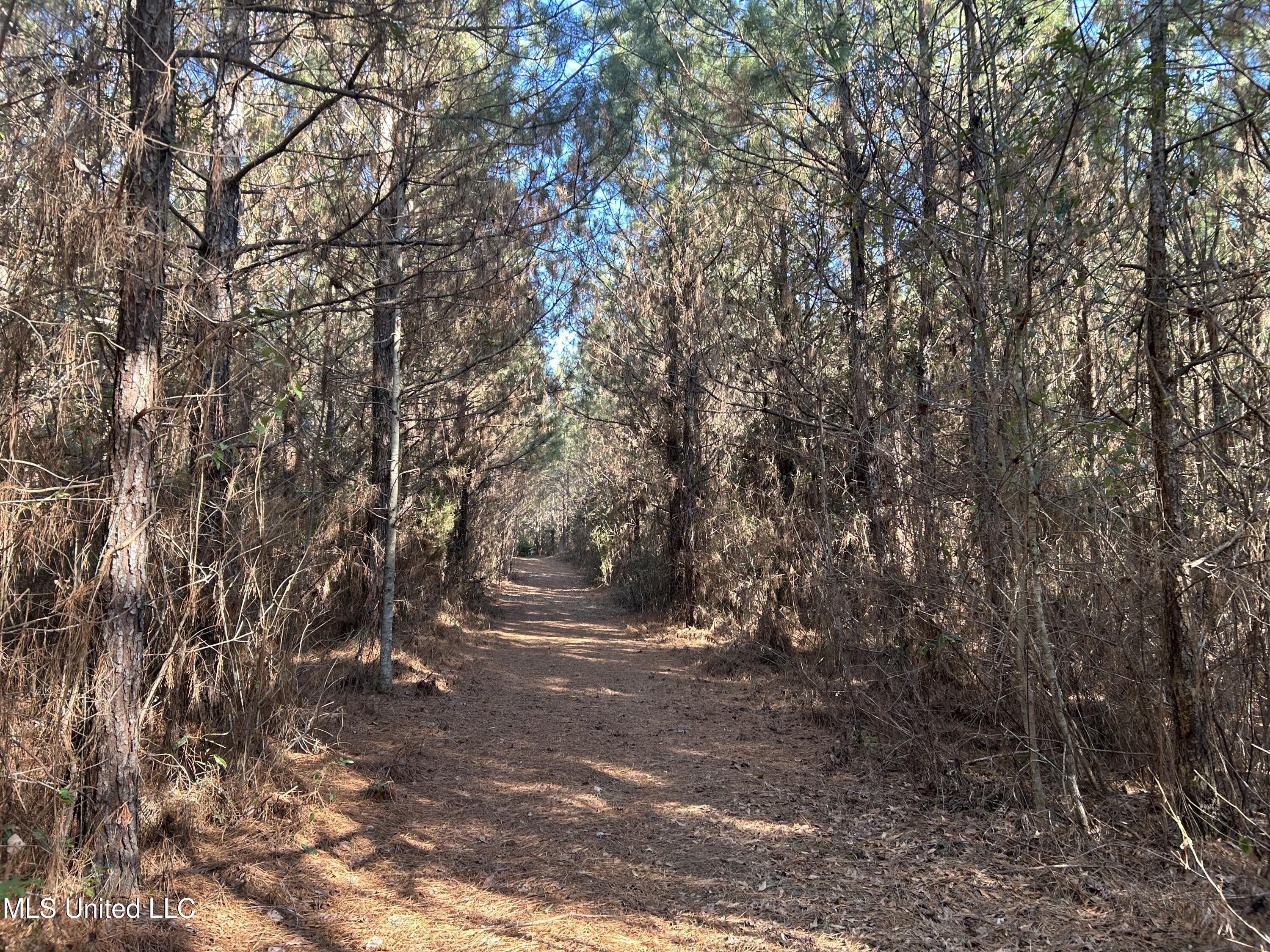 307 Willis Road Decatur, MS 39327 - Photo 6 of 41 6