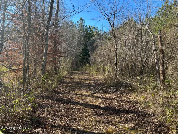 $477,000 | 307 Willis Road, Decatur, MS 39327