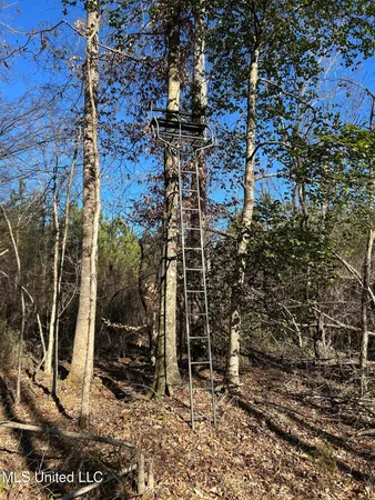 $477,000 | 307 Willis Road, Decatur, MS 39327