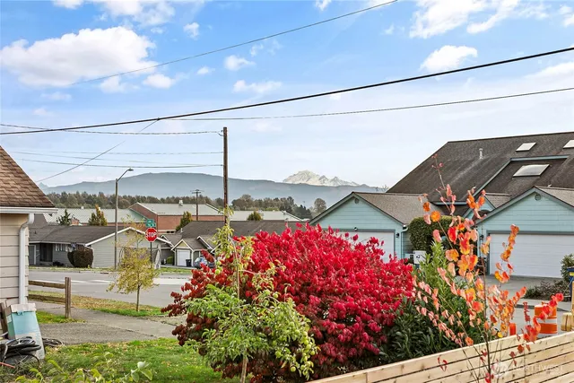a view of lot of flowers and buildings