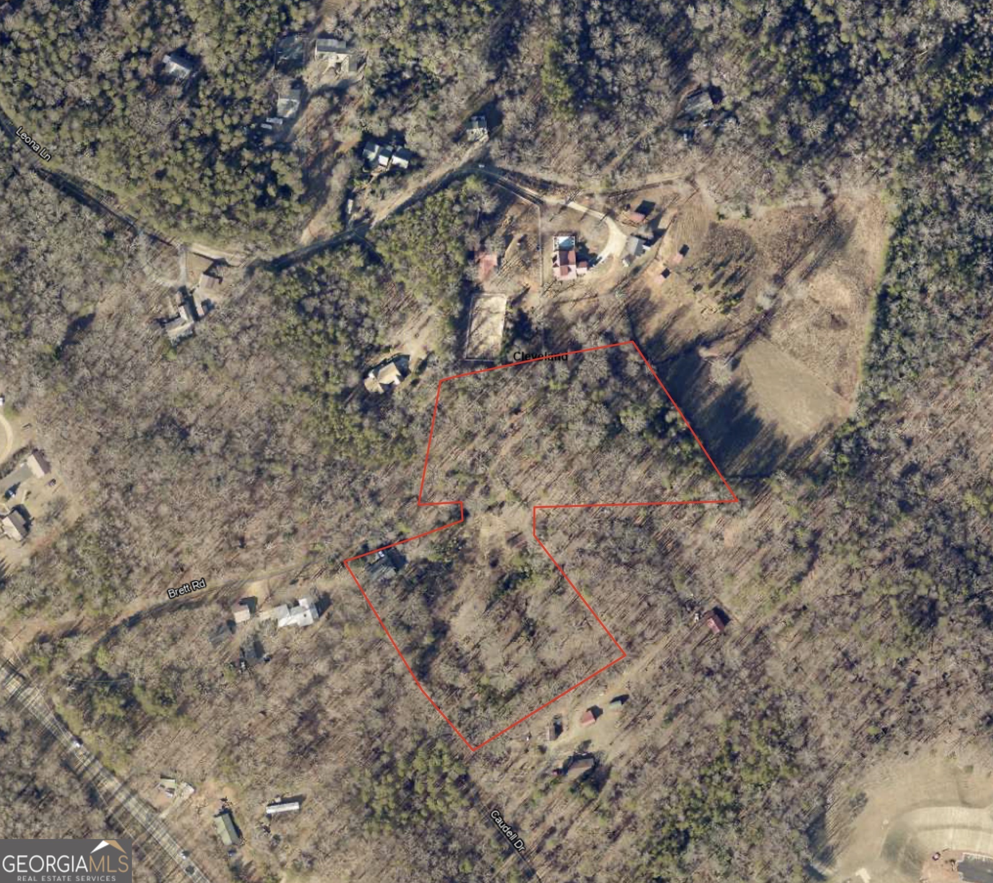 156 Brett Road Cleveland, GA 30528 - Photo 29 of 32 a view of a dry yard with lots of trees