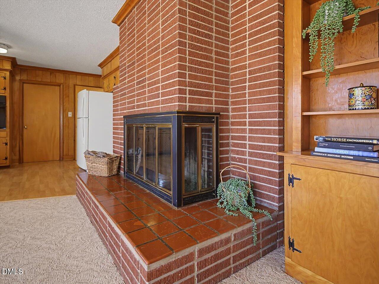 4223 Efland - Cedar Grove Road Hillsborough, NC 27278 - Photo 17 of 75 20-Fireplace