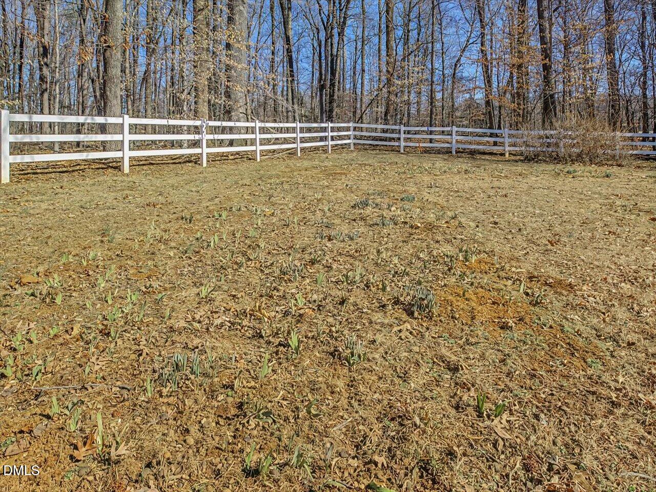 4223 Efland - Cedar Grove Road Hillsborough, NC 27278 - Photo 60 of 75 63-Iris Bed