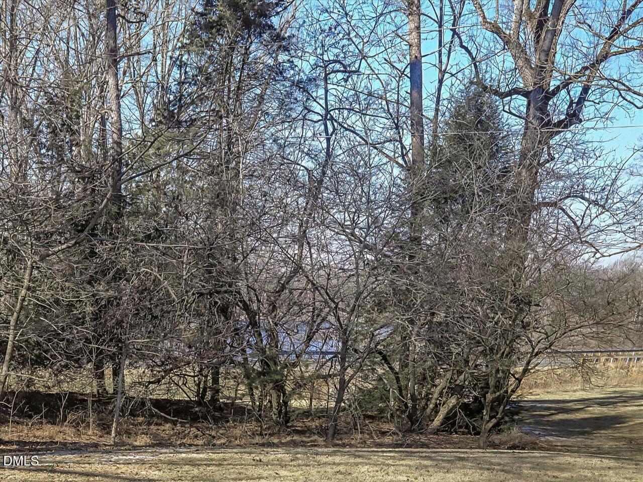 4223 Efland - Cedar Grove Road Hillsborough, NC 27278 - Photo 6 of 75 09-Living Room View