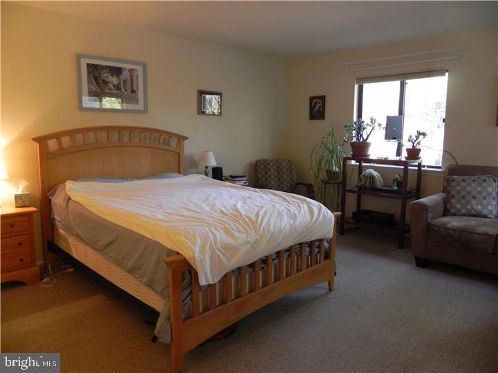205 Chase Road Chesterbrook, PA 19087 - Photo 14 of 21 Main Bedroom