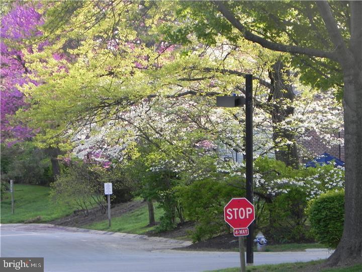 205 Chase Road Chesterbrook, PA 19087 - Photo 21 of 21 View of Chesterbrook Blvd.