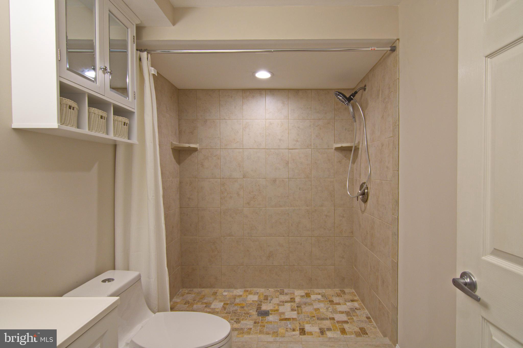 9645 Clarkes Road Bealeton, VA 22712 - Photo 16 of 32 Lower level bath