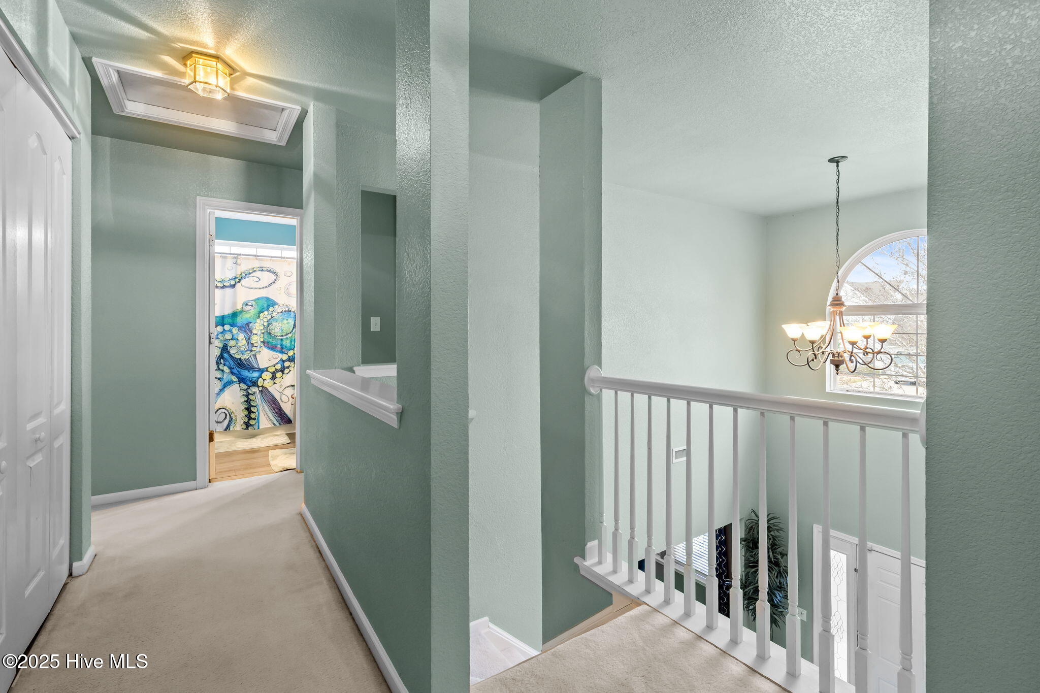 223 Eagle Creek Road Moyock, NC 27958 - Photo 17 of 55 2nd floor hall. Laundry on left.