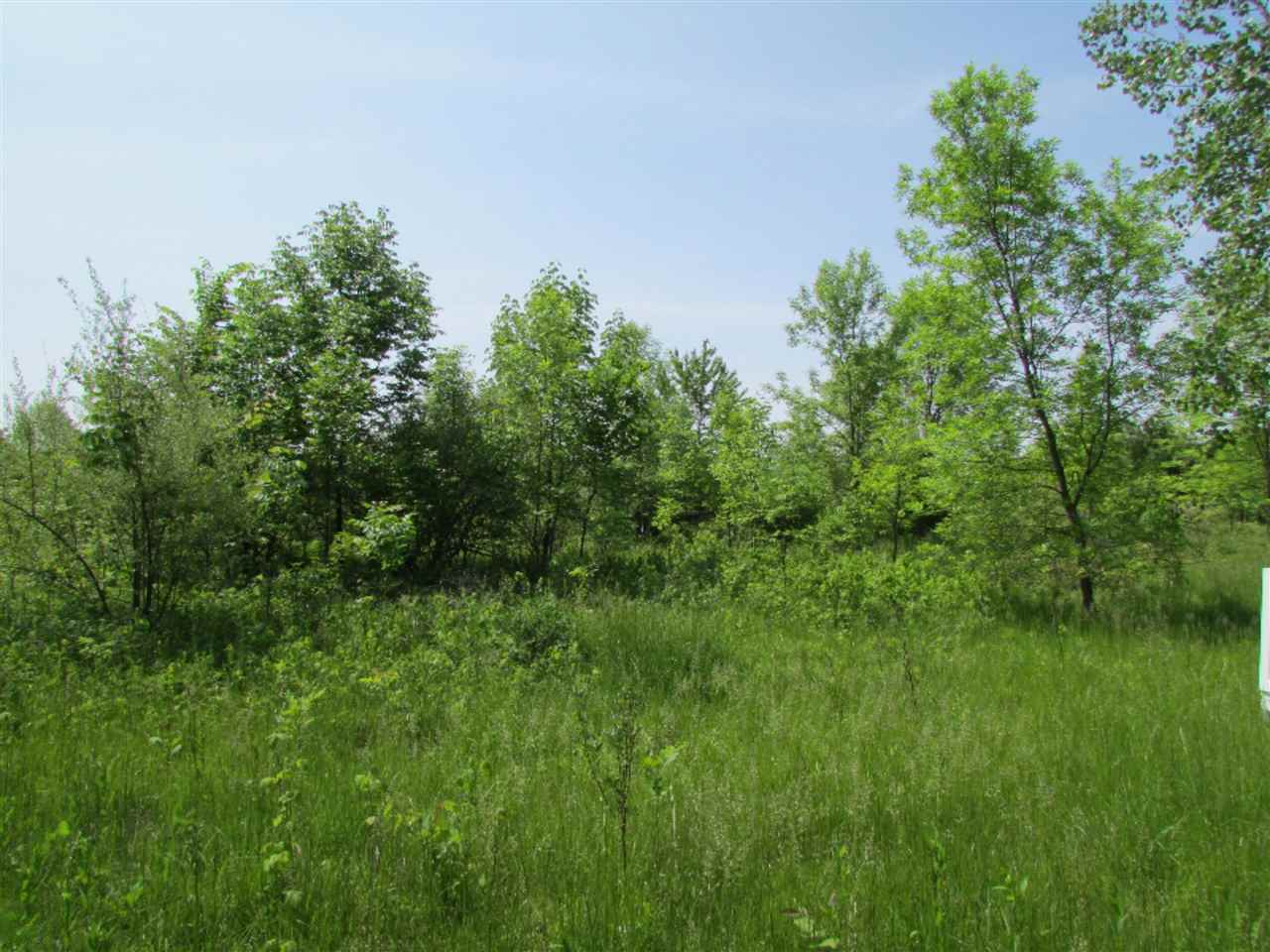 2 West Warren Woods Road Buchanan, MI 49107 - Photo 1 of 4