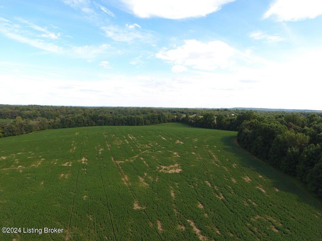 890 Summit Road Clarkson, KY 42726 - Photo 12 of 27 Nunn Aerial14