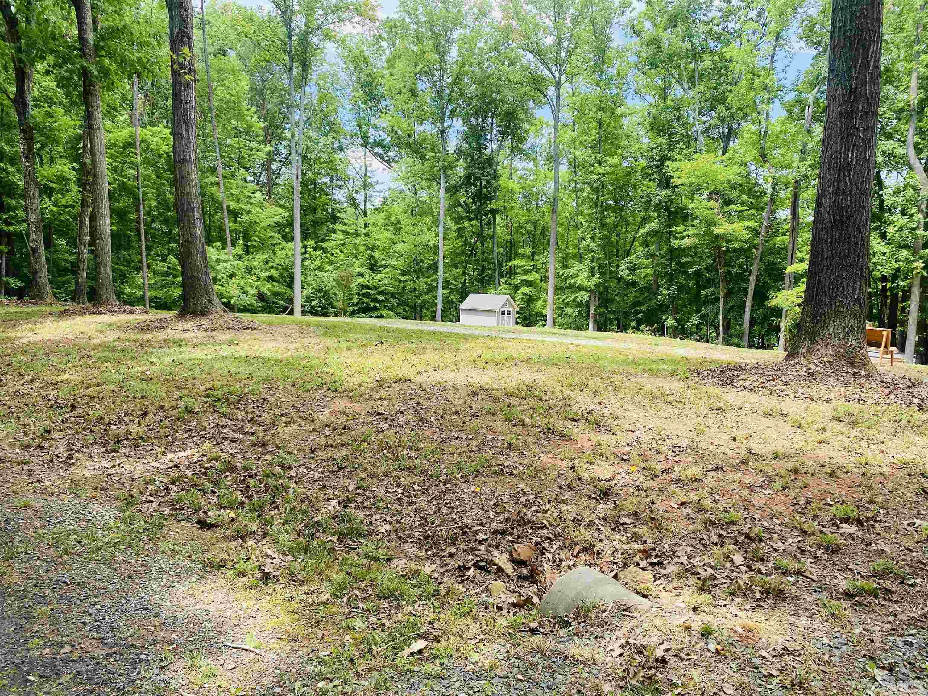 634 Fishermans Point Road Roxboro, NC 27574 - Photo 5 of 20 a view of a yard with a trees