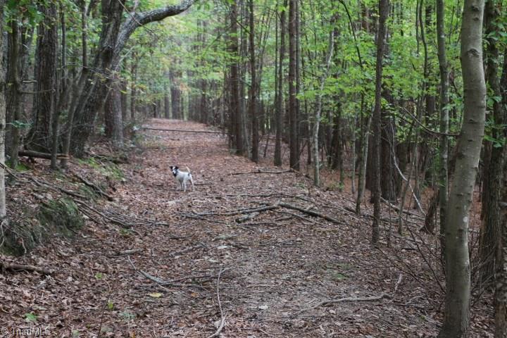 0 Mickey Road, Unit 73 Westfield, NC 27053 - Photo 12 of 30 Gallery Image 12