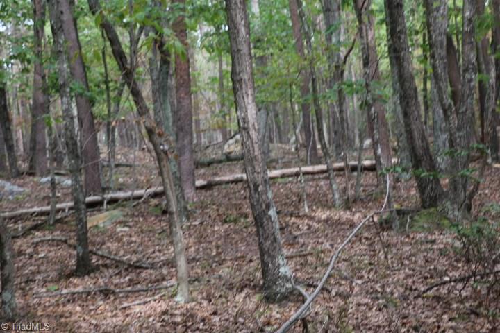 0 Mickey Road, Unit 73 Westfield, NC 27053 - Photo 13 of 30 Gallery Image 13