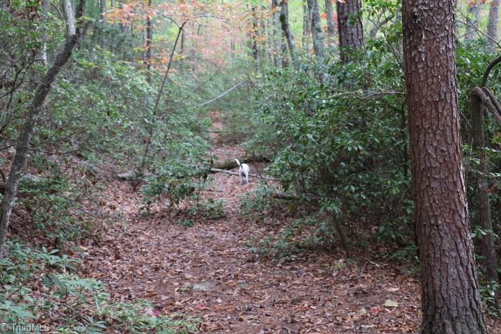 0 Mickey Road, Unit 73 Westfield, NC 27053 - Photo 16 of 30 Gallery Image 16