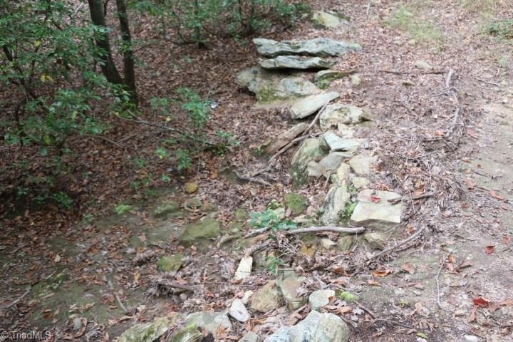 0 Mickey Road, Unit 73 Westfield, NC 27053 - Photo 20 of 30 Gallery Image 20