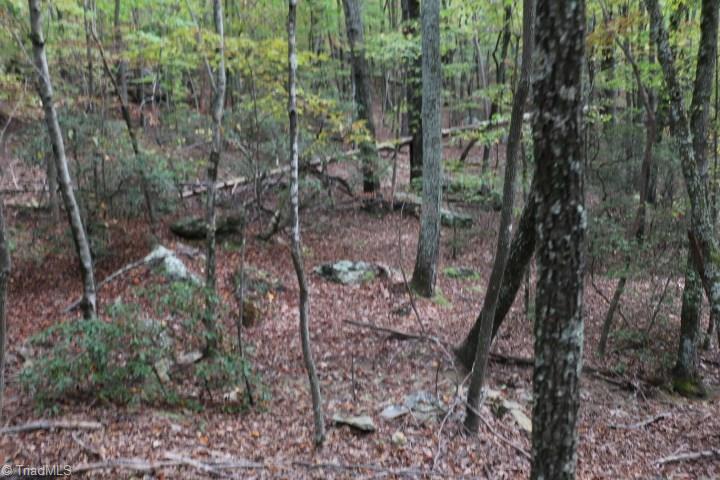 0 Mickey Road, Unit 73 Westfield, NC 27053 - Photo 21 of 30 Gallery Image 21