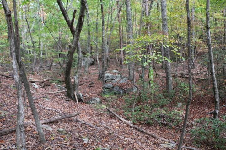 0 Mickey Road, Unit 73 Westfield, NC 27053 - Photo 22 of 30 Gallery Image 22