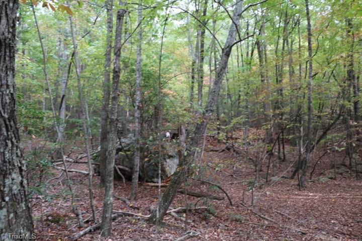 0 Mickey Road, Unit 73 Westfield, NC 27053 - Photo 23 of 30 Gallery Image 23