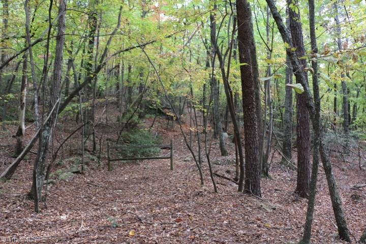 0 Mickey Road, Unit 73 Westfield, NC 27053 - Photo 24 of 30 Gallery Image 24