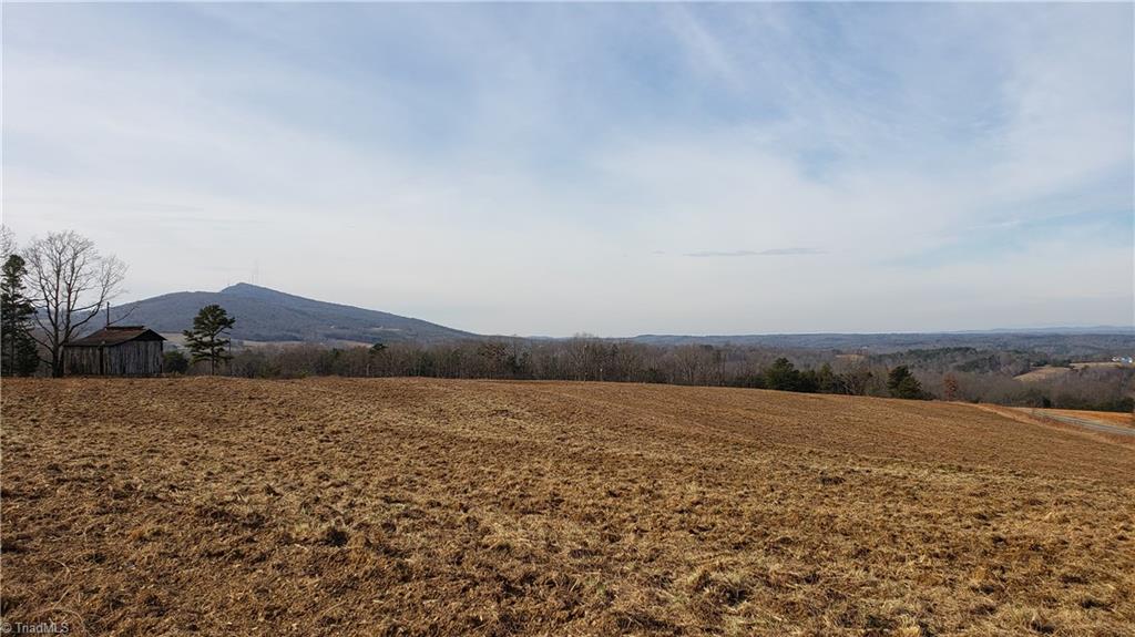 0 Mickey Road, Unit 73 Westfield, NC 27053 - Photo 28 of 30 Gallery Image 28
