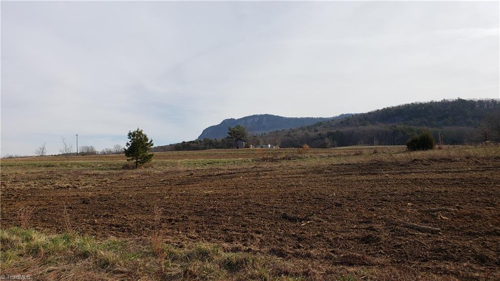 0 Mickey Road, Unit 73 Westfield, NC 27053 - Photo 29 of 30 Gallery Image 29