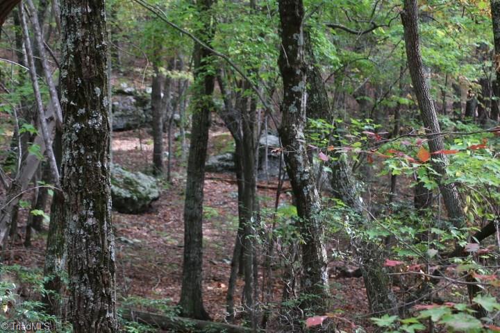 0 Mickey Road, Unit 73 Westfield, NC 27053 - Photo 6 of 30 Gallery Image 6
