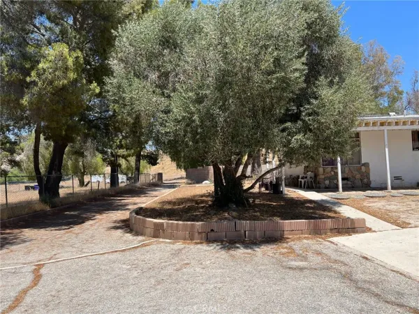 a view of a fire pit with tree in the background