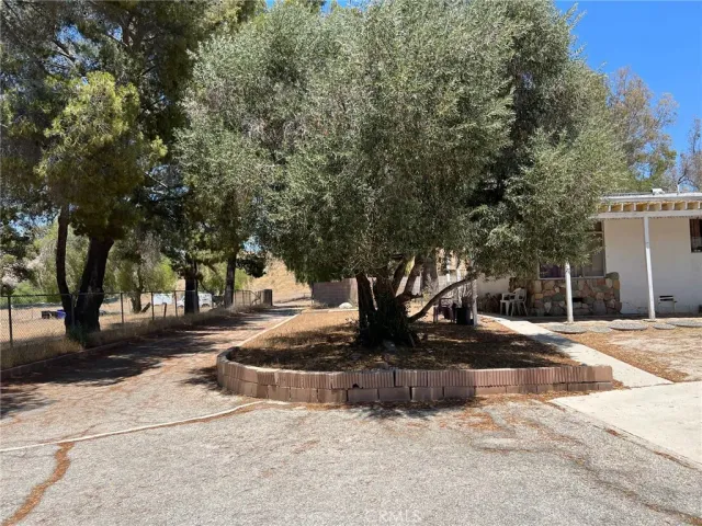 a view of a fire pit with tree in the background