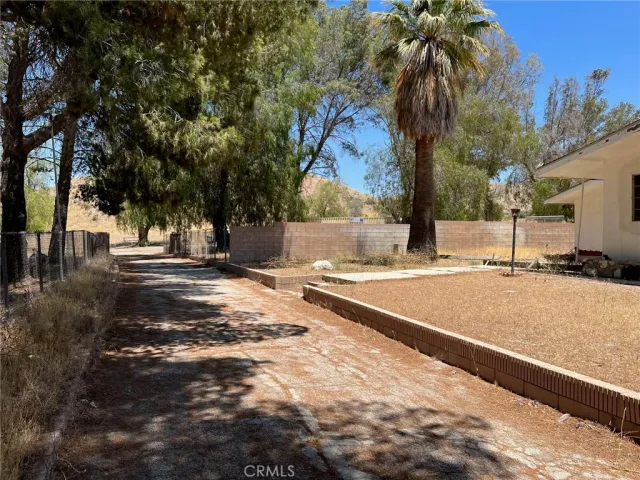 a view of road with large trees