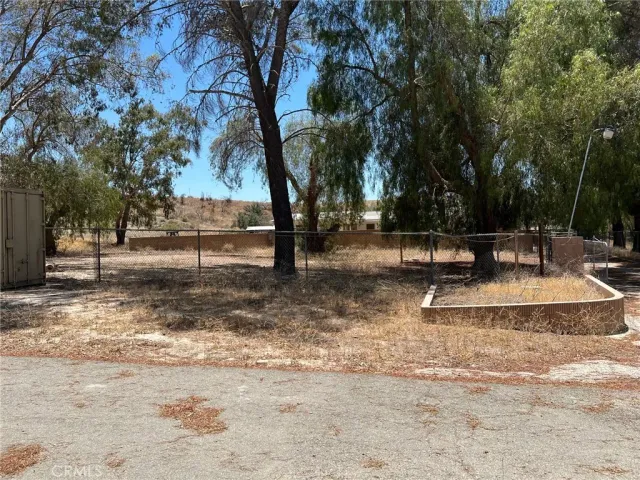 a view of a park with large trees