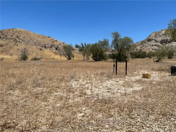 a view of a dry yard with mountain view