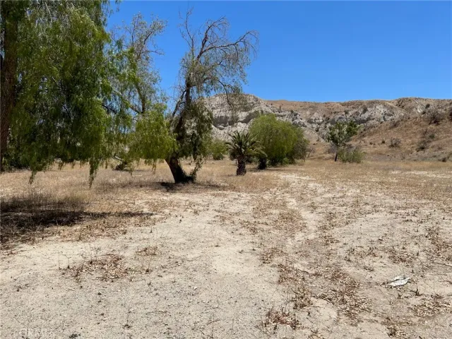 a view of a dry yard with trees